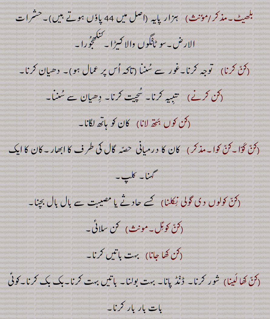  کن کرنا,کن کرنے,کن کوں ہتھ لانا,کن کوا,کن کوا,کن کولوں دی گولی نکلنا,کن کوئل,کن کھا جانا,کن کھا لینا