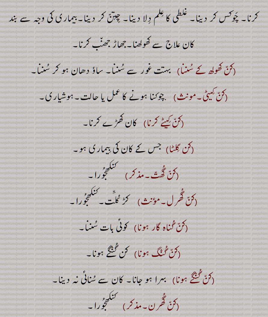 کن کھولھ کے سننا,کن کیٹی,کن کیٹے کرنا,کن گلٹا,کن گھت,کن گھرل,کن گناہ گار ہونا,کن گنگ ہونا,کن گنگے ہونا,کن گھرن, 