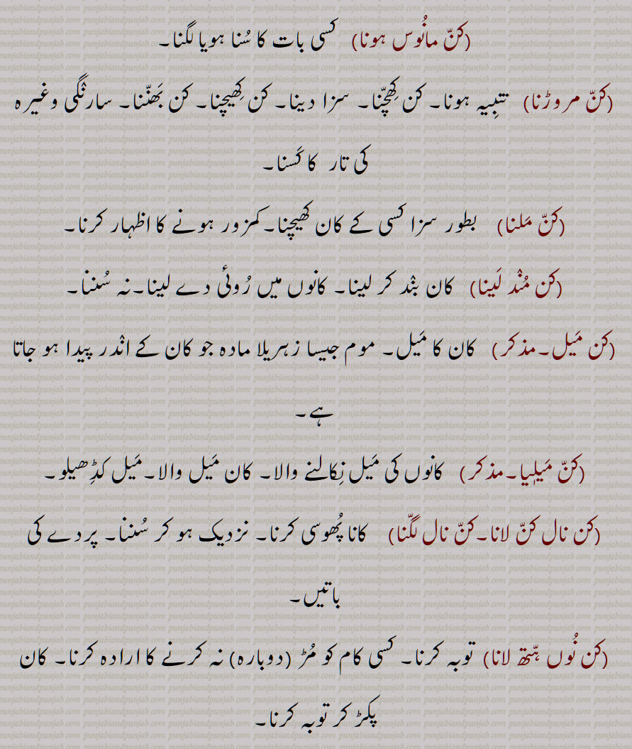 کن مانوس ہونا,کن مروڑنا,کن ملنا,کن مند لینا,کن میل,کن میلیا,کن نال کن لانا,کن نال لگنا,کن نوں ہتھ لانا