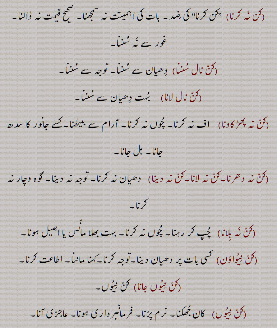  کن نہ کرنا,کن نال سننا,کن نال لانا,کن نہ پھڑکاونا,کن نہ دھرنا,کن نہ لانا,کن نہ دینا,کن نہ ہلانا,کن نیواون,کن نیوں جانا,کن نیوں