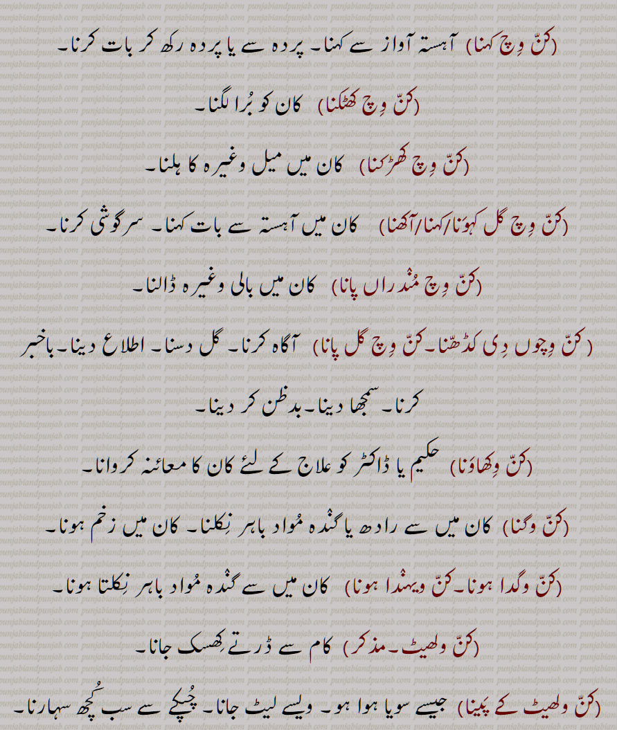 کن وچ کہنا,کن وچ کھٹکنا,کن وچ کھڑکنا,کن وچ گل کہونا/کہنا/آکھنا,کن وچ مندراں پانا, کن وچوں دی کڈھنا,کن وچ گل پانا,کن وکھاونا,کن وگنا,کن وگدا ہونا,کن ویہندا ہونا,کن ولھیٹ,کن ولھیٹ کے پینا 