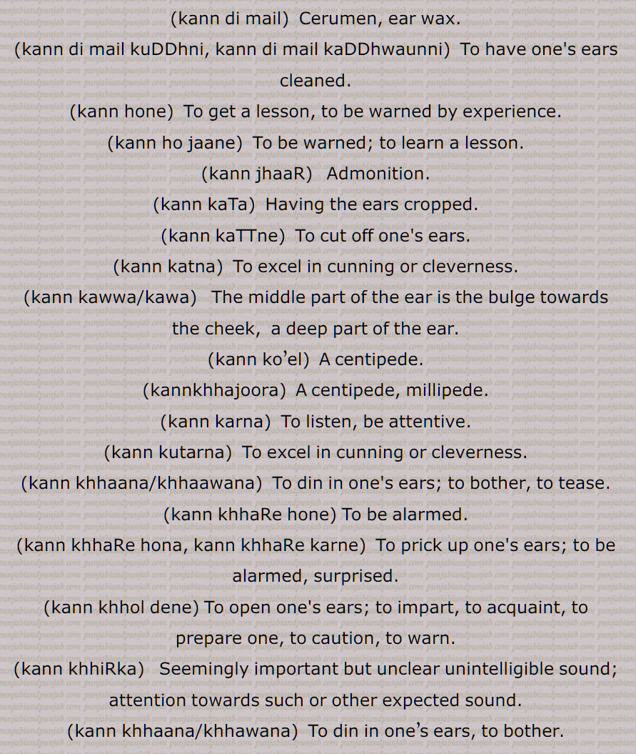  kann di mail, kann di mail kuDDhni, kann di mail kaDDhwaunni, kann hone,kann ho jaane, kann jhaaR, kann kaTa, kann kaTTne, kann katna, kann kawwa/kawa, kann ko’el, kannkhhajoora, kann karna, kann kutarna, kann khhaana/khhaawana, kann khhaRe hone, kann khhaRe hona, kann khhaRe karne, kann khhol dene, kann khhiRka, kann khhaana/khhawana,