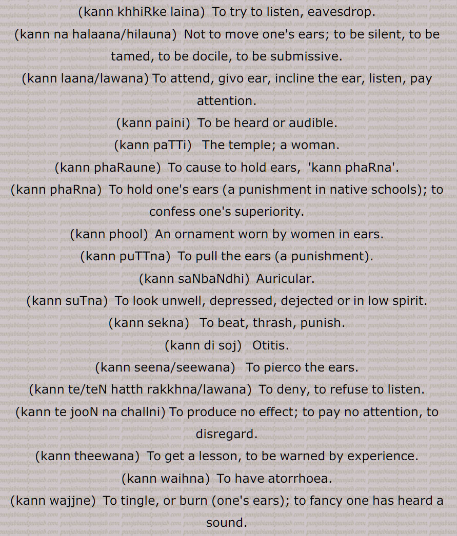 kann khhiRke laina, kann na halaana/hilauna, kann laana/lawana, kann paini, kann paTTi, kann phaRaune, kann phaRna, kann phool, kann puTTna, kann saNbaNdhi,kann suTna, kann sekna, kann di soj, kann seena/seewana, kann te/teN hatth rakkhna/lawana, kann te jooN na challni, kann theewana, kann waihna, kann wajjne, kann wichch kahina, kann wichch rooN dena, kann wichch uNgliyaaN dena, kann wihna, kann winhauna, kann winnhana, is kann sunna us kann kaDDh dena, kanniN, kannaaN ghesal maarna, kann,