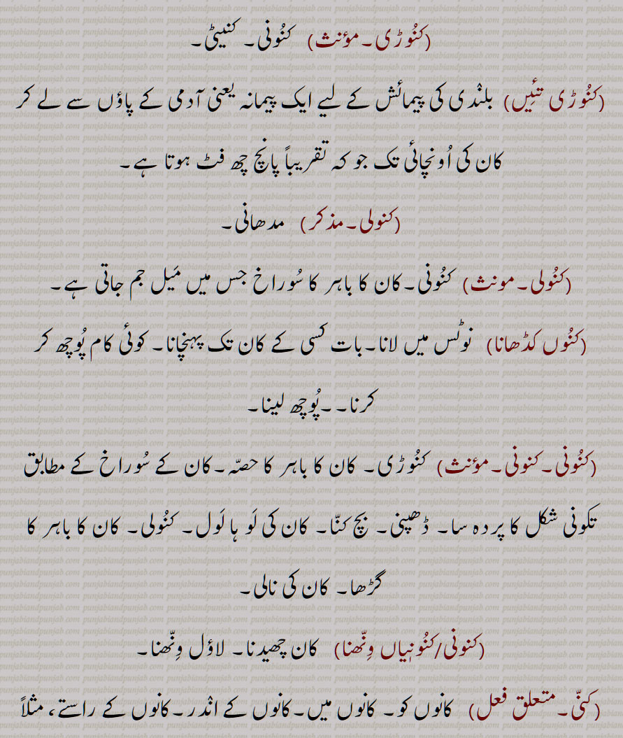 ,کنوڑی,کنوڑی تئیں,کنولی,کنولی,کنوں کڈھانا,کنونی,کنونی,کنونی/کنونٖیاں ونھنا,کنی