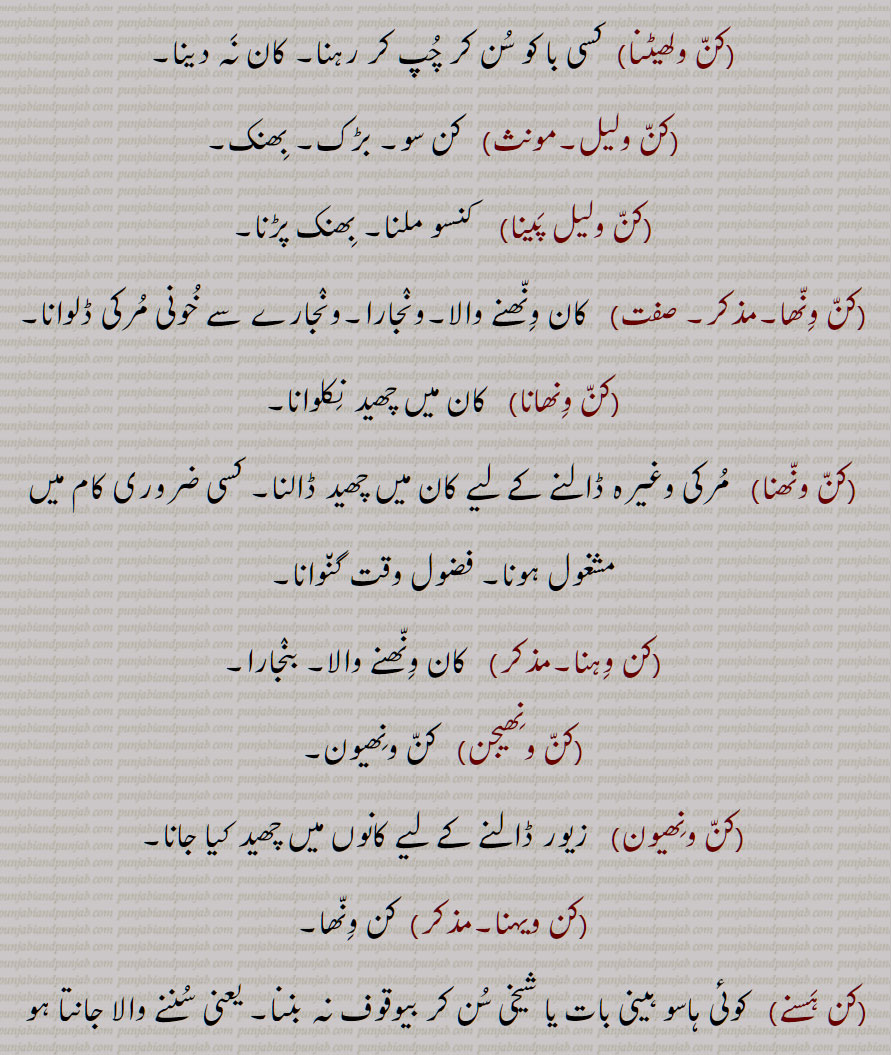 کن ولھیٹنا,,کن ولیل,کن ولیل پینا,کن ونھا,کن ونھانا,کن ونھنا,کن وہنا,کن ونھیجن,کن ونھیون,,کن ویہنا,کن ہسنے 
