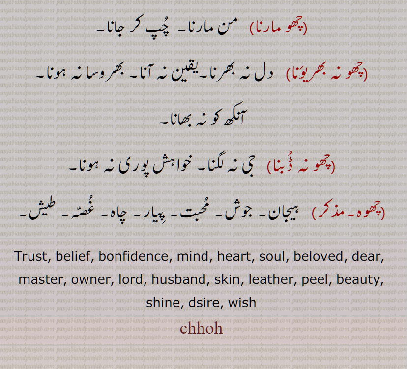 چھو , چھوہ ,پرہیز , لگاؤ, چھوہ چھڈّنا, چھوہ گھتّنا,خواہش جو پوری نہ ہوئی, اطمینان,چھوہ نہ بھرنا, خواہش ختم نہ ہونا ,چھو بھریوَنا,چھو ڈُبنا,چھو مارنا,چھو نہ بھریوَنا,چھو نہ ڈُبنا,چھوہ, ہیجان, جوش, پِیار, dsire, wish, chho, chhoh,