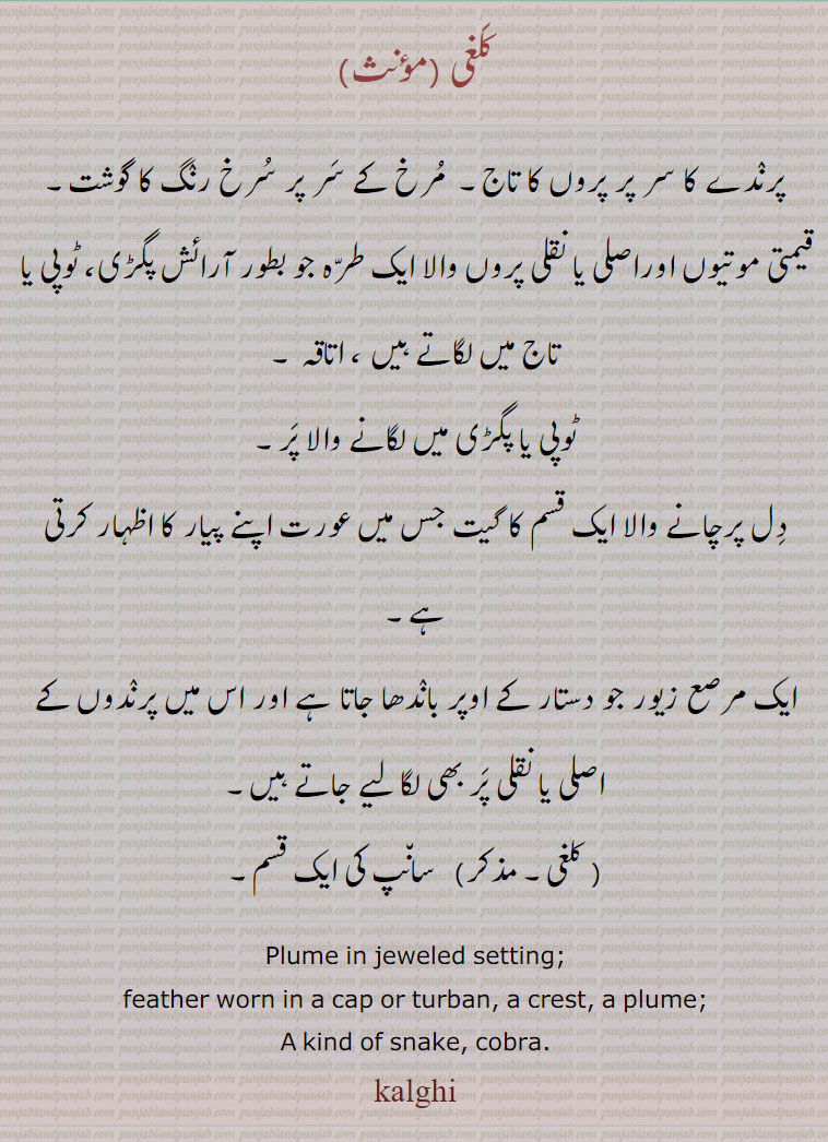    کلغی , سانپ,  زیور ,گہنا,بُھوکھن,النکار,ٹُوم,ٹومب,ٹونب چھلا  ,kalgi,kalghi, cobra,snak,  Traditional Ornaments of Punjab,Jewellery,jewelry,ਕਲਗੀ, 