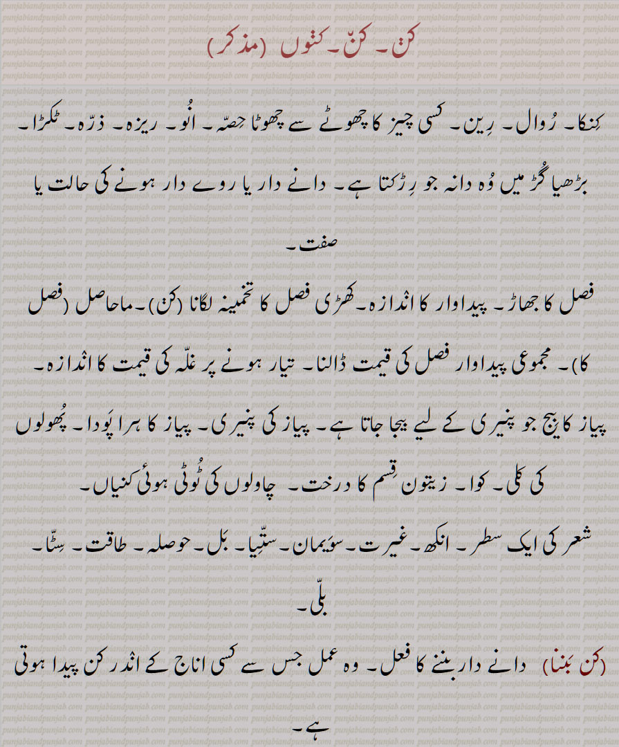 کن  ,کنوں,کنکا, روال, رین, کسی چیز کا چھوٹے سے چھوٹا حصہ, انو, ریزہ, ذرہ, ٹکڑا,بڑھیا گڑ میں وہ دانہ جو رڑکتا ہے, دانے دار یا روے دار ہونے کی حالت یا صفت, فصل کا جھاڑ, پیداوار کا اندازہ,کھڑی فصل کا تخمینہ لگانا (کڽ),ماحاصل (فصل کا), مجموعی پیداوار فصل کی قیمت ڈالنا, تیار ہونے پر غلہ کی قیمت کا اندازہ,پیاز کا بیج جو پنیری کے لیے بیجا جاتا ہے, پیاز کی پنیری, پیاز کا ہرا پودا, پھولوں کی کلی, کوا, زیتون قسم کا درخت,  چاولوں کی ٹوٹی ہوئی کنیاں,شعر کی ایک سطر, انکھ,غیرت,سویمان,ستیا, بل,حوصلہ, طاقت, سٹا, بلی,, کن بننا, کن پلنا, کن سن وچ, کن چھہانا, کن دار, کن دار دھرتی, کن کچھ, کن کرنا,کن پونا, کنکوت,کنکوٹ, کنکوتنا,   کنکوتی, کنوئی, کنی, A mote, a particle, valuing or appraising a field, a blossom, a young plant of onion, power, strength, vigour, spirit,  kan karna, kan pauna, kan, ਕਣ