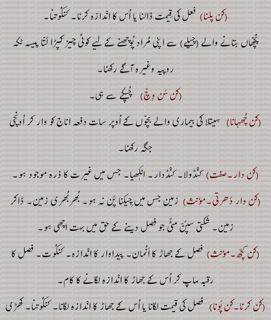 کن  ,کنوں,کنکا, روال, رین, کسی چیز کا چھوٹے سے چھوٹا حصہ, انو, ریزہ, ذرہ, ٹکڑا,بڑھیا گڑ میں وہ دانہ جو رڑکتا ہے, دانے دار یا روے دار ہونے کی حالت یا صفت, فصل کا جھاڑ, پیداوار کا اندازہ,کھڑی فصل کا تخمینہ لگانا (کڽ),ماحاصل (فصل کا), مجموعی پیداوار فصل کی قیمت ڈالنا, تیار ہونے پر غلہ کی قیمت کا اندازہ,پیاز کا بیج جو پنیری کے لیے بیجا جاتا ہے, پیاز کی پنیری, پیاز کا ہرا پودا, پھولوں کی کلی, کوا, زیتون قسم کا درخت,  چاولوں کی ٹوٹی ہوئی کنیاں,شعر کی ایک سطر, انکھ,غیرت,سویمان,ستیا, بل,حوصلہ, طاقت, سٹا, بلی,, کن بننا, کن پلنا, کن سن وچ, کن چھہانا, کن دار, کن دار دھرتی, کن کچھ, کن کرنا,کن پونا, کنکوت,کنکوٹ, کنکوتنا,   کنکوتی, کنوئی, کنی, A mote, a particle, valuing or appraising a field, a blossom, a young plant of onion, power, strength, vigour, spirit,  kan karna, kan pauna, kan, ਕਣ