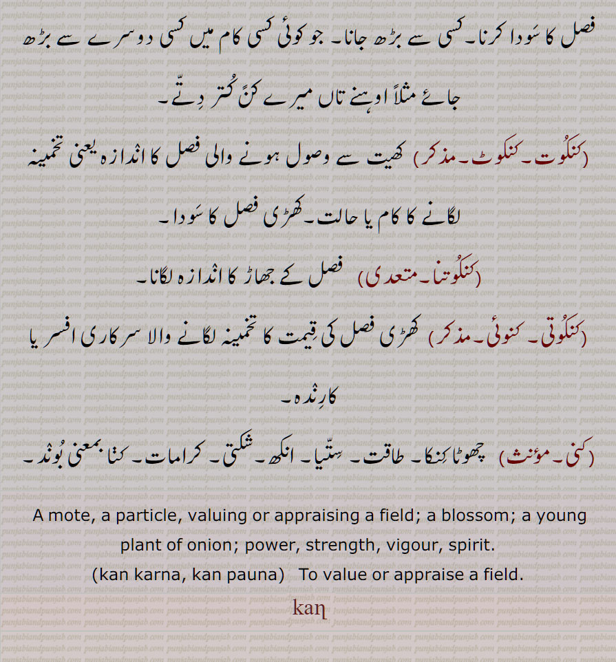 کن  ,کنوں,کنکا, روال, رین, کسی چیز کا چھوٹے سے چھوٹا حصہ, انو, ریزہ, ذرہ, ٹکڑا,بڑھیا گڑ میں وہ دانہ جو رڑکتا ہے, دانے دار یا روے دار ہونے کی حالت یا صفت, فصل کا جھاڑ, پیداوار کا اندازہ,کھڑی فصل کا تخمینہ لگانا (کڽ),ماحاصل (فصل کا), مجموعی پیداوار فصل کی قیمت ڈالنا, تیار ہونے پر غلہ کی قیمت کا اندازہ,پیاز کا بیج جو پنیری کے لیے بیجا جاتا ہے, پیاز کی پنیری, پیاز کا ہرا پودا, پھولوں کی کلی, کوا, زیتون قسم کا درخت,  چاولوں کی ٹوٹی ہوئی کنیاں,شعر کی ایک سطر, انکھ,غیرت,سویمان,ستیا, بل,حوصلہ, طاقت, سٹا, بلی,, کن بننا, کن پلنا, کن سن وچ, کن چھہانا, کن دار, کن دار دھرتی, کن کچھ, کن کرنا,کن پونا, کنکوت,کنکوٹ, کنکوتنا,   کنکوتی, کنوئی, کنی, A mote, a particle, valuing or appraising a field, a blossom, a young plant of onion, power, strength, vigour, spirit,  kan karna, kan pauna, kan, ਕਣ