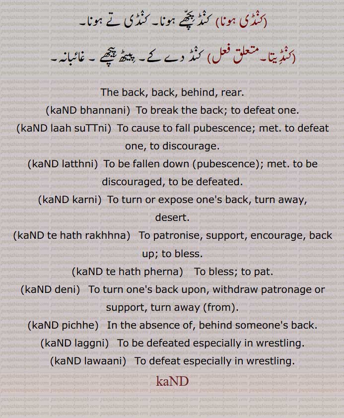 
 کنڈ ,پٹھ,پیٹھ, پشت, ڈھوئی,جوانی, انسانی جسم کی پچھلی طرف,کنڈ بھار,کنڈ بھجنا,  کنڈ بھرنے,کنڈ بھننا, کنڈ بھواجانا,کنڈ بھوا کے ترنا,کنڈ بھوانا,کنڈ پچھوں,کنڈ پچھوں گلے کرنا,  کنڈ پچھے,کنڈ پرنے,کنڈ پھیرنا,کنڈ پھیرنا,کنڈ تھپنا, ہلاشیری دینا,کنڈ تے ہتھ پھیرنا,کنڈ جھاڑ کے تر جانا,کنڈ دسنا,کنڈ دکھانا,کنڈ وکھانا,کنڈ دے جانا,کنڈ دے  گچھنا, "کنڈ دے ونجنا,کنڈ دینا,کنڈ سجاننا,کنڈ کترنا,کنڈ کرن,کنڈ لا دینا,کنڈ لانا,کنڈ لاہ سٹنا,کنڈ گتھنا,کنڈ لگ جانا , کنڈ لگنا,کنڈ لوانا,کنڈ موڑ لینا,کنڈ موڑنا,کنڈ ولانا, ولا گچھنا,کنڈ و رانا,کنڈ راناں,کنڈا,کنڈی,کنڈی بھار,کنڈی تے ہتھ پھیرنا,کنڈی تے ہونا, سہائک ہونا,کنڈی ہونا,کنڈیتا, پیٹھ پیچھے , غائبانہ, The back, back, behind, rear.,kaND bhannani,kaND laah suTTni,kaND latthni,kaND karni,kaND te hath rakhhna,  ਕੰਡ ਤੇ ਹੱਥ ਧਰਨਾ,ਕੰਡ ਤੇ ਹੱਥ ਰੱਖਣਾ ,kaND te hath pherna,  ਕੰਡ ਤੇ ਹੱਥ ਫੇਰਨਾ,kaND deni,  ਕੰਡ ਦੇਣੀ, ਕੰਡ ਫੇਰ ਲੈਣੀ, kaND pichhe,  ਕੰਡ ਪਿੱਛੇ , kaND laggni,  ਕੰਡ ਲੱਗਣੀ , kaND lawaani,  ਕੰਡ ਲਾਉਣੀ , ਕੰਡ, کنڈ , kand,,
