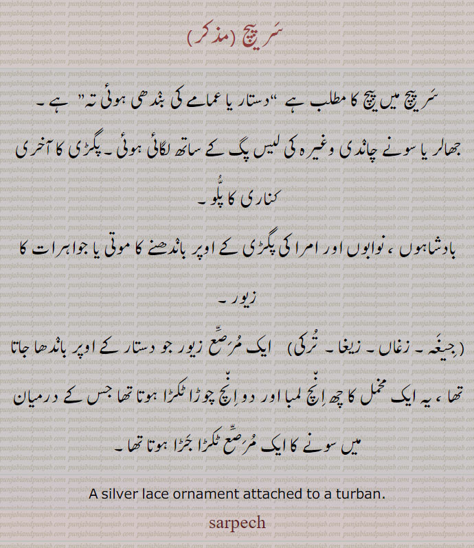   سر پیچ,sarpech,ਸਰਪੇਚ,زغاں,زیغا,جیغہ, Traditional Ornaments of Punjab,Jewellery,jewelry,zaiwar,زیور, ,گہنا,بُھوکھن,النکار,ٹُوم,ٹومب,ٹونب چھلا, 